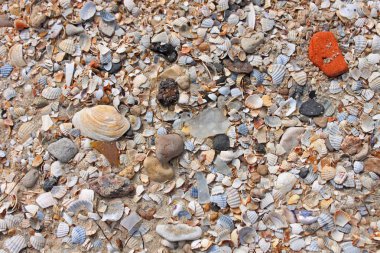 Yakın çekim yaz bir plaj kum desen