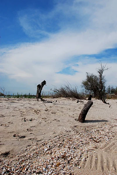 Paesaggio marino del Mar d'Azov. Nessuno sulla spiaggia. Bella costa. — Foto Stock