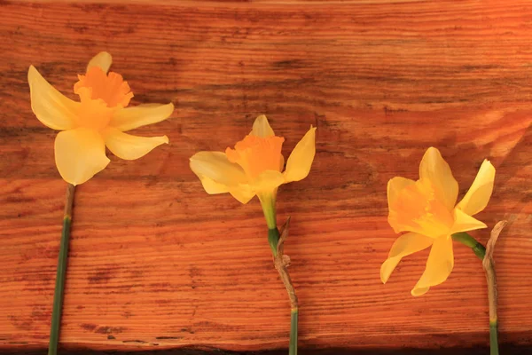 Tło kwiatów z żonkile bukiet na drewnianym stole — Zdjęcie stockowe