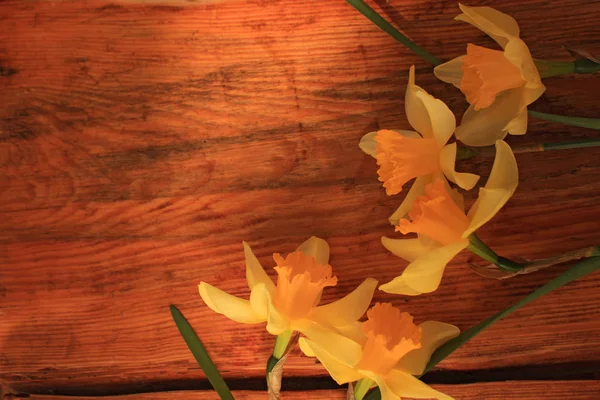 Fondo de flores con ramo de narcisos en mesa de madera — Foto de Stock