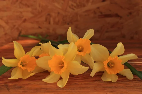 Flowers background with daffodils bouquet on wooden table — Stock Photo, Image