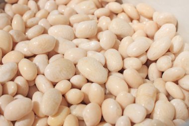 Büyük beyaz böbrek fasulyesi beyaz arka plan üzerinde izole. Üst te. Düz yatıyordu.