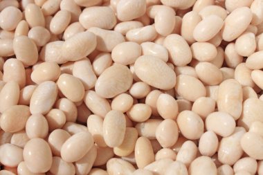 Büyük beyaz böbrek fasulyesi beyaz arka plan üzerinde izole. Üst te. Düz yatıyordu.