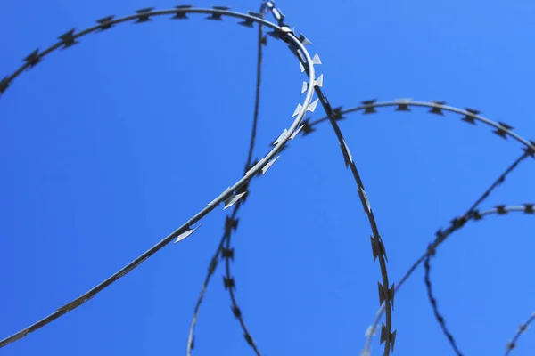 Barbed wire on fence with blue sky, the concept of prison, salvation, copy space. Royalty Free Stock Images