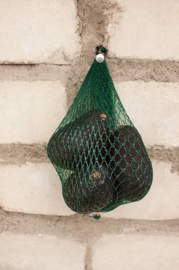 Taze organik hass avokado yeşil bir dize çanta bir tuğla duvar arka plan izole, sağlıklı gıda kavramı, kopya alanı.