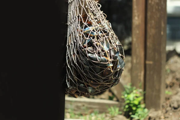 Een rooster met mosselen hangt bij de ingang van een visrestaurant aan zee. Vis en zeevruchten, mediterraan dieet, gezond eten. — Stockfoto