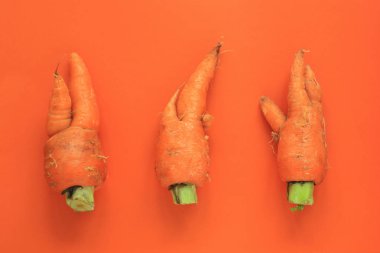 Çirkin yemekler. Yeşil ve turuncu duoton pastel arka plan üzerinde deforme organik havuç.