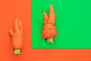 Çirkin yemekler. Yeşil ve turuncu duoton pastel arka plan üzerinde deforme organik havuç.