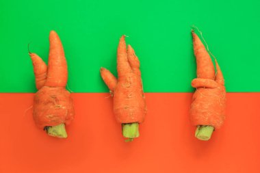 Çirkin yemekler. Yeşil ve turuncu duoton pastel arka plan üzerinde deforme organik havuç.