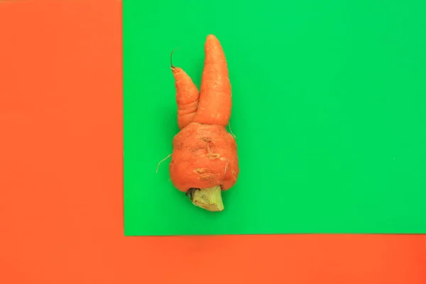 Brzydkie jedzenie. Zdeformowana marchew organiczna na pastelowych tle w zielonym i pomarańczowym duoton. — Zdjęcie stockowe
