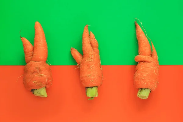Brzydkie jedzenie. Zdeformowana marchew organiczna na pastelowych tle w zielonym i pomarańczowym duoton. — Zdjęcie stockowe