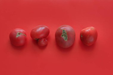 Çirkin gıda konsepti, kırmızı arka planda deforme domates, kopya alanı.