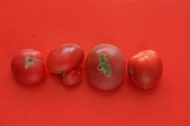 Çirkin gıda konsepti, kırmızı arka planda deforme domates, kopya alanı.