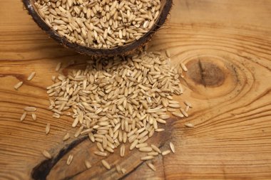 Bir Hindistan cevizi kabuğu ham yulaf taneleri, ahşap bir arka planda lezzetli sağlıklı kahvaltı için madde, kopya alanı.