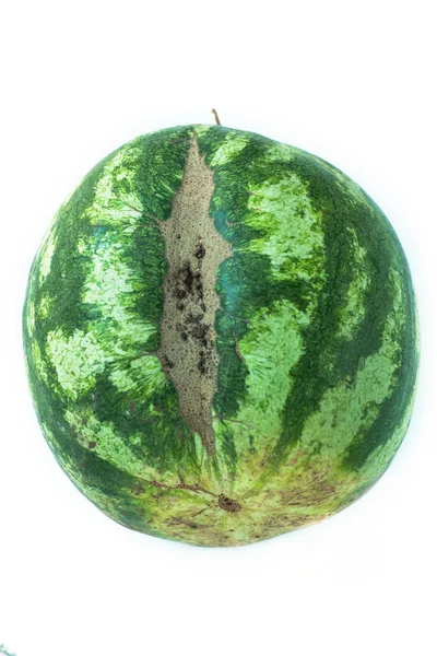 Semangka berbentuk jelek dengan struktur seperti bekas luka, goresan pada latar belakang putih — Stok Foto