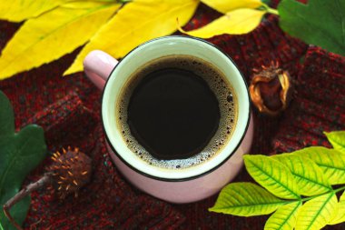 Sonbahar kahvesi. Sonbahar sıcak sağlıklı içecek bir fincan, kahverengi ahşap arka plan üzerinde sıcak yün kazak ile bırakır. Natürmort.