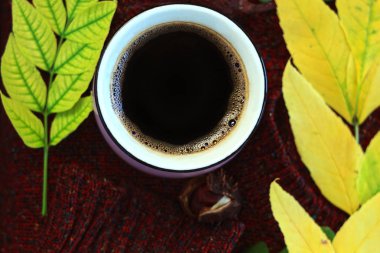 Sonbahar kahvesi. Sonbahar sıcak sağlıklı içecek bir fincan, kahverengi ahşap arka plan üzerinde sıcak yün kazak ile bırakır. Natürmort.