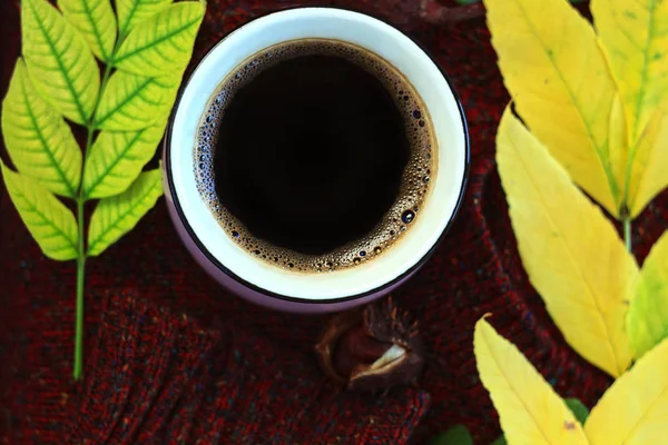 Sonbahar kahvesi. Sonbahar sıcak sağlıklı içecek bir fincan, kahverengi ahşap arka plan üzerinde sıcak yün kazak ile bırakır. Natürmort.