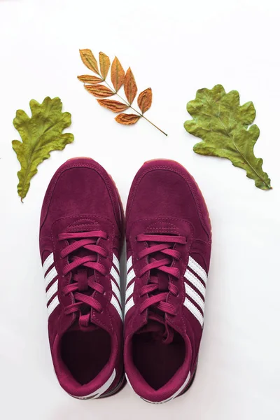 Бургундские кроссовки с дубом и ясенем осенние листья на белом фоне, естественные легкие тени . — стоковое фото
