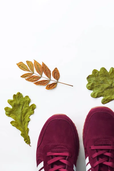 Zapatillas borgoña con hojas de roble y fresno de otoño sobre fondo blanco, sombras de luz natural . —  Fotos de Stock