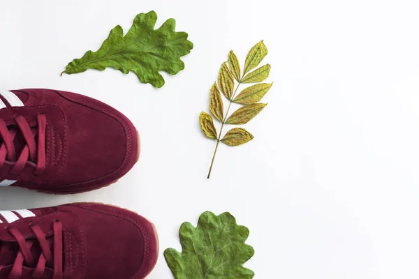 Zapatillas borgoña con hojas de roble y fresno de otoño sobre fondo blanco, sombras de luz natural . —  Fotos de Stock