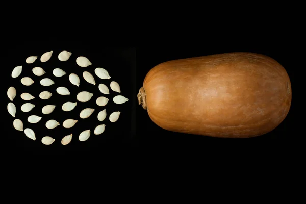 Pompoen op een zwarte achtergrond. Creatief minimalisme, voedsel fotografie. — Stockfoto