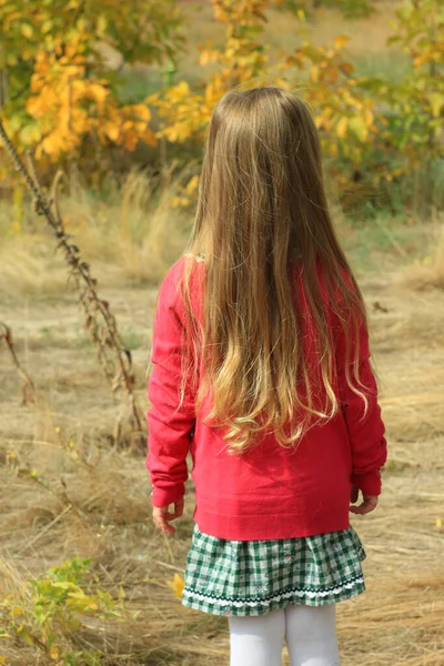 Beautiful little girl with long blond hair in a pink blouse and a plaid skirt on a autumn nature background. — Stock Photo, Image