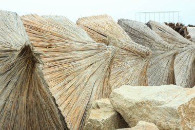 Straw umbrellas on an empty beach on a foggy day. Rainy cold weather on the sea coast. Travel photography.