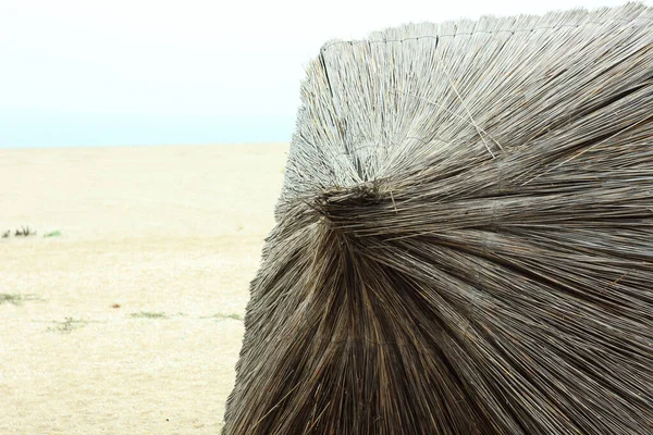 Straw umbrellas on an empty beach on a foggy day. Rainy cold weather on the sea coast. Travel photography. — Zdjęcie stockowe