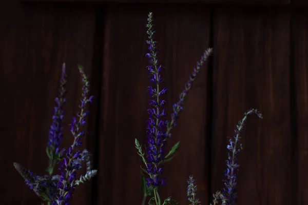 選択的焦点で木製の背景に紫色のセージの花 暗い気分春の夏の背景 低いキー青紫色の色 天然の野生の花のバナーコピースペース グリーティングカード — ストック写真