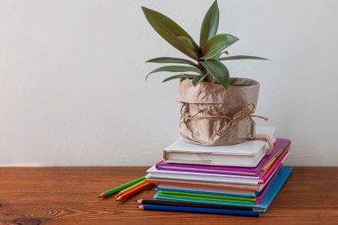 Kitaplar istiflenmiş, yeşil ev bitkisi olan kalemler beyaz arka planda kahverengi kraft kağıdına sarılmış vazoda. Uzaktan eğitim, e-öğrenme, karantina çevrimiçi öğrenme modeli, okul konsept afişi