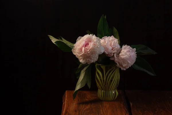 Рожева Квітка Півонії Чорному Тлі Прекрасний Ботанічний Квітковий Дизайн Творчий — стокове фото