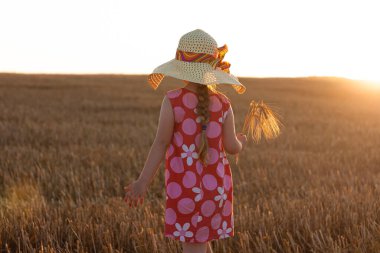 Hasır şapkalı sevimli küçük kız ve buğday tarlasında pembe yaz elbisesi. Gün batımında, elinde dikenlerle kırsal bir alanda uzun sarı saçlı bir çocuk. Çiftçilik tarım kavramı