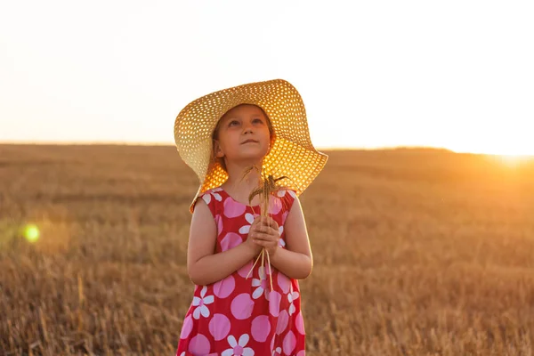 Adorable Little Girl Straw Hat Pink Summer Dress Wheat Field — Stock Photo, Image