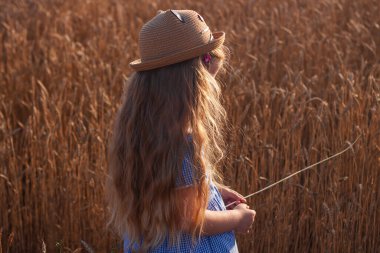 Hasır şapkalı ve buğday tarlasında mavi ekose elbiseli sevimli küçük kız. Kırsal alanda uzun dalgalı saçlı, elinde dikenle gezen bir çocuk. Çiftçilik tarım hasat kavramı.