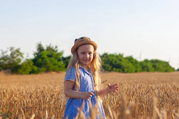 Entzückendes Kleines Mädchen Mit Strohhut Und Blau Kariertem Sommerkleid Weizenfeld — Stockfoto