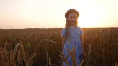 Hasır şapkalı sevimli küçük kız, buğday tarlasında mavi ekose bir elbise. Kırsal alanda uzun dalgalı saçlı, elinde dikenle gezen bir çocuk. Çiftçilik tarım hasat konsepti 4K.