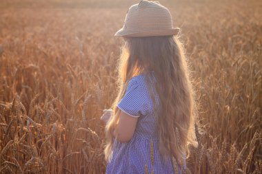 Hasır şapkalı ve buğday tarlasında mavi ekose elbiseli sevimli küçük kız. Kırsal alanda uzun dalgalı saçlı, elinde dikenle gezen bir çocuk. Çiftçilik tarım hasat kavramı.