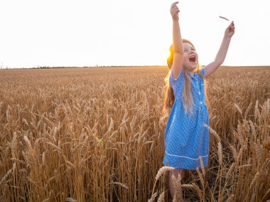 Hasır şapkalı ve buğday tarlasında mavi ekose elbiseli sevimli küçük kız. Kırsal alanda uzun dalgalı saçlı, elinde dikenle gezen bir çocuk. Çiftçilik tarım hasat kavramı.