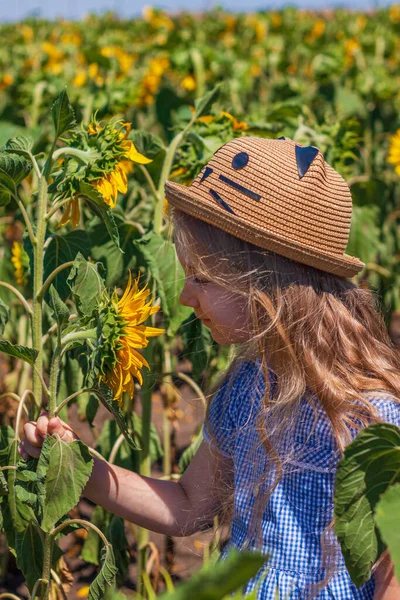 Schattig Meisje Een Strohoed Blauwe Geruite Jurk Ruikend Naar Zonnebloem — Stockfoto