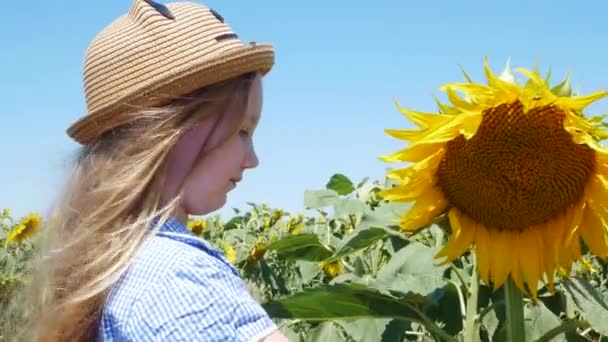 Kleines Mädchen Blauem Sommerkleid Mit Putzigem Marienkäfer Der Auf Einem — Stockvideo