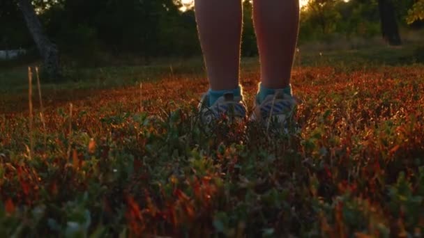 Ноги Шагают Ярко Зеленой Осенней Траве Видом Сзади Телята Кроссовках — стоковое видео