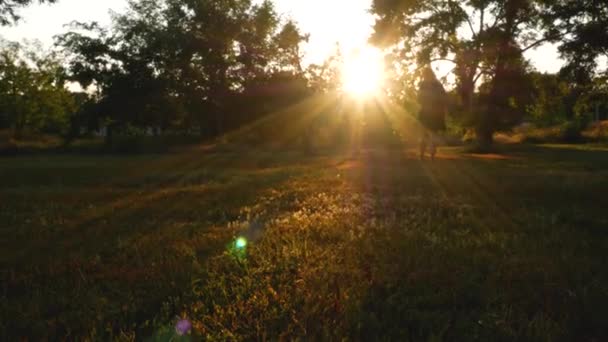 Vandrarkvinna Vandrar Färgglada Solstrålar Höst Skog Natur Bakifrån Syn Flicka — Stockvideo