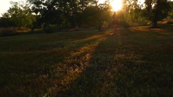 Wanderin Wandert Durch Bunte Sonnenstrahlen Herbstliche Waldnatur Frontansicht Des Jungen — Stockvideo