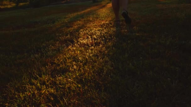 Escursionismo Donna Passeggiate Raggi Sole Colorati Natura Foresta Autunno Vista — Video Stock