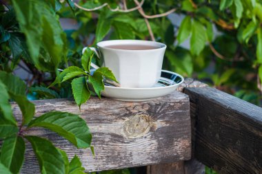 Ahşap balkonda yeşil üzümlü beyaz porselen çay fincanı. Sıcacık bitkisel içecek. Doğal içecekler duvar kağıdı. Temiz havada sıcak demlenmiş çay. Hafta sonu kahvaltısı..