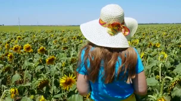 可爱的小女孩 戴着白色草帽 穿着蓝色T恤 穿着黄色的向日葵 一位金发碧眼的女士孤身一人站在乡村花坛上 耕作收获概念4K — 图库视频影像