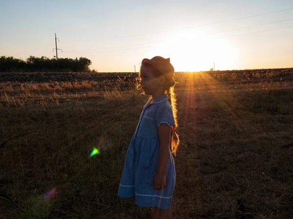 Adorable Little Girl Straw Hat Blue Plaid Dress Grass Field — Stock Photo, Image