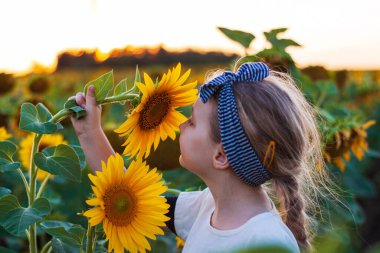 Beyaz tişörtlü tatlı kız gün batımında tarlada ayçiçeği kokusu alıyor. Kırsal alanda uzun sarı saçlı, elinde sarı çiçekle gezen bir çocuk. Çiftçilik konsepti, duvar kağıdı hasat etme.
