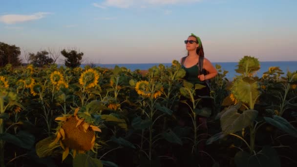 Urocza Młoda Dziewczyna Okularach Przeciwsłonecznych Żółtym Polu Słoneczników Zachodnim Brzegu — Wideo stockowe